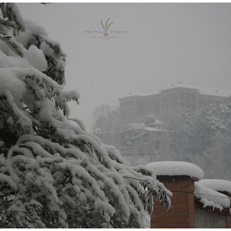 B&B Tre Foglie Di Pesco Rivoli  Dış mekan fotoğraf