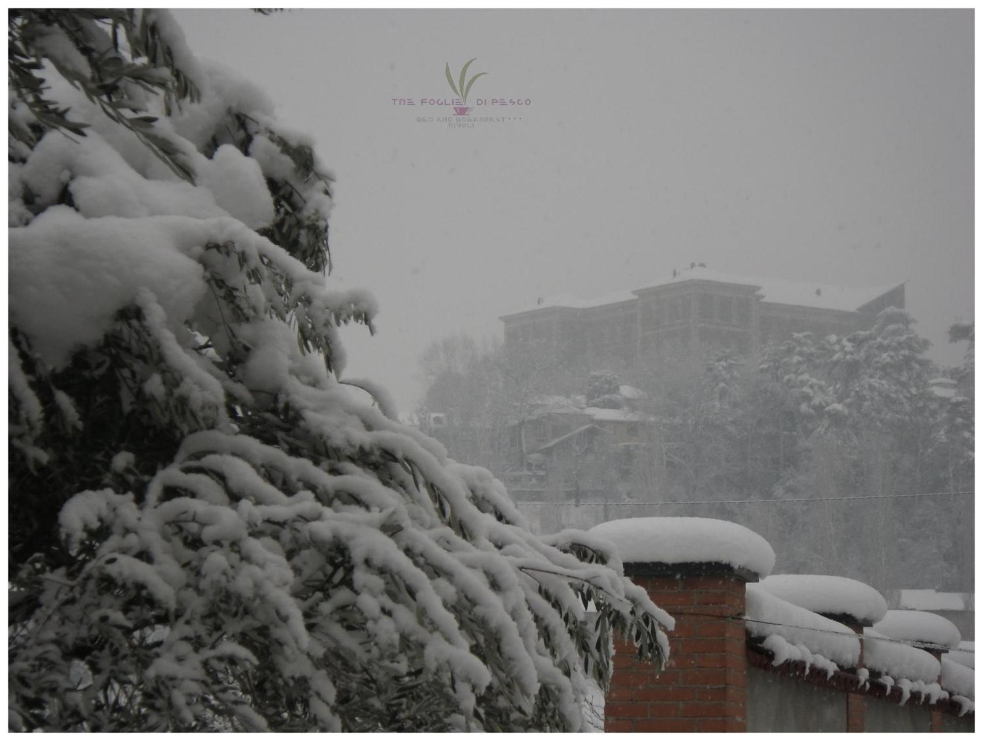 B&B Tre Foglie Di Pesco Rivoli  Dış mekan fotoğraf